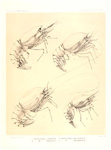 n574_w1150