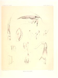 n514_w1150