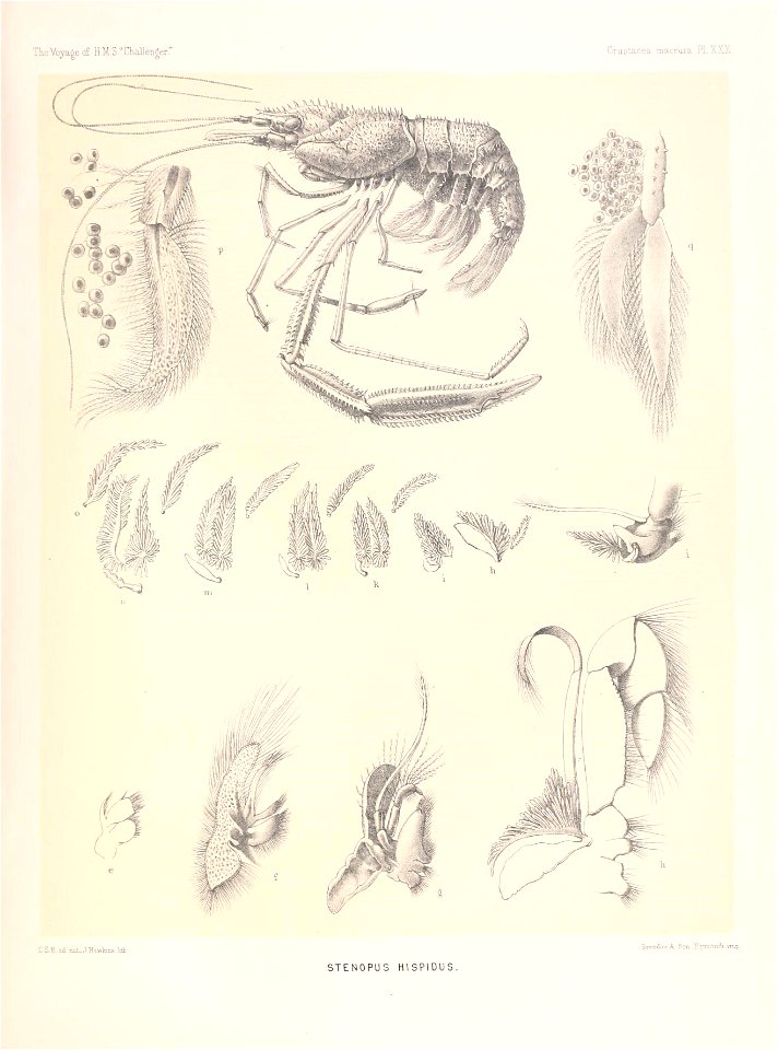 n156_w1150