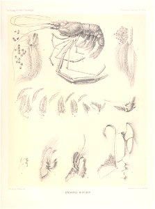 n156_w1150