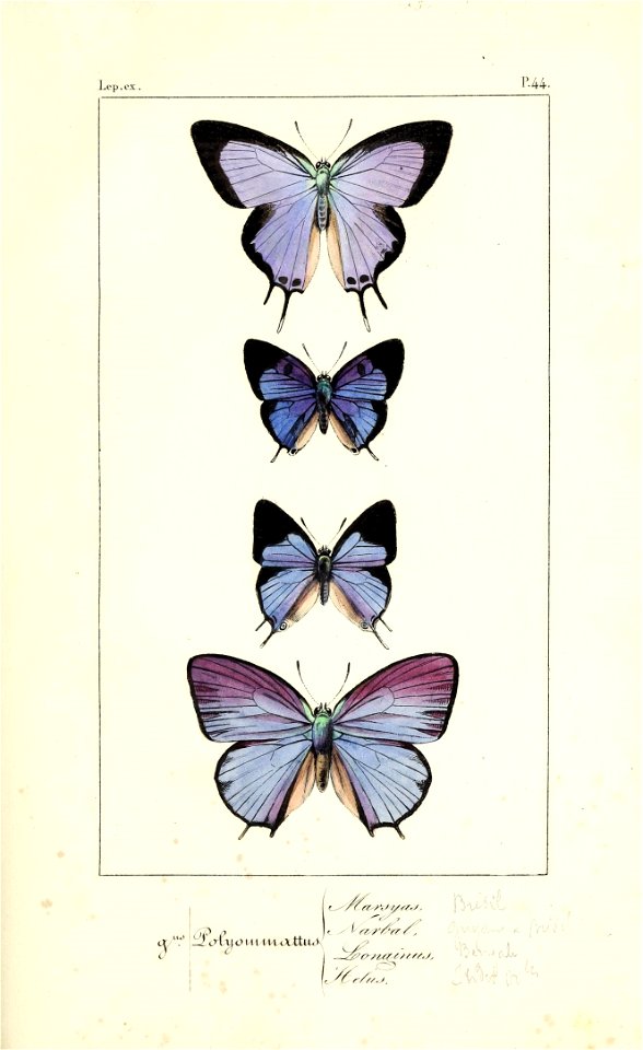 n182_w1150