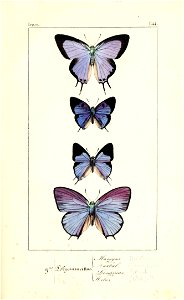 n182_w1150