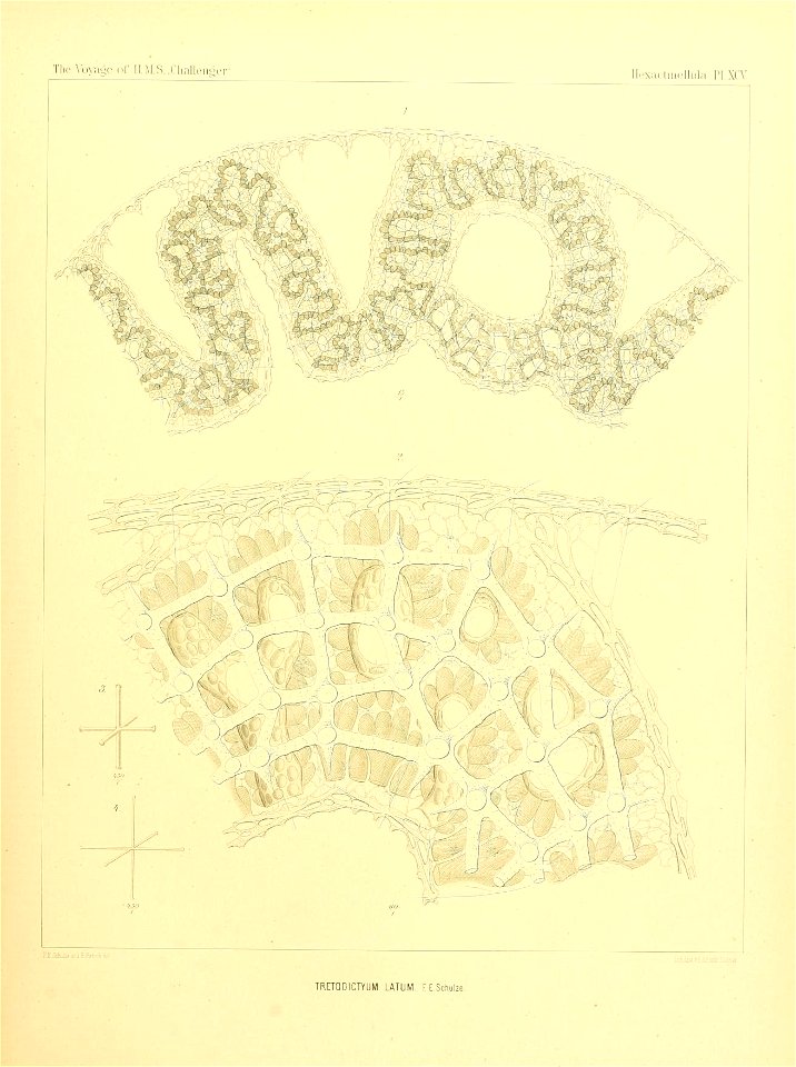 n390_w1150