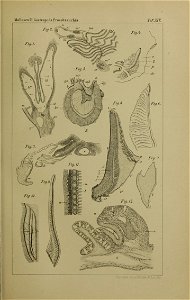 n1194_w1150
