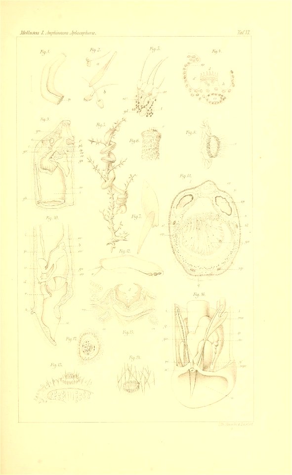 n504_w1150