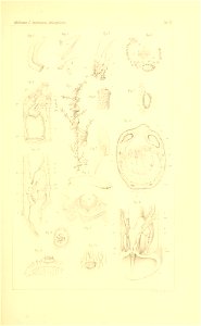 n504_w1150