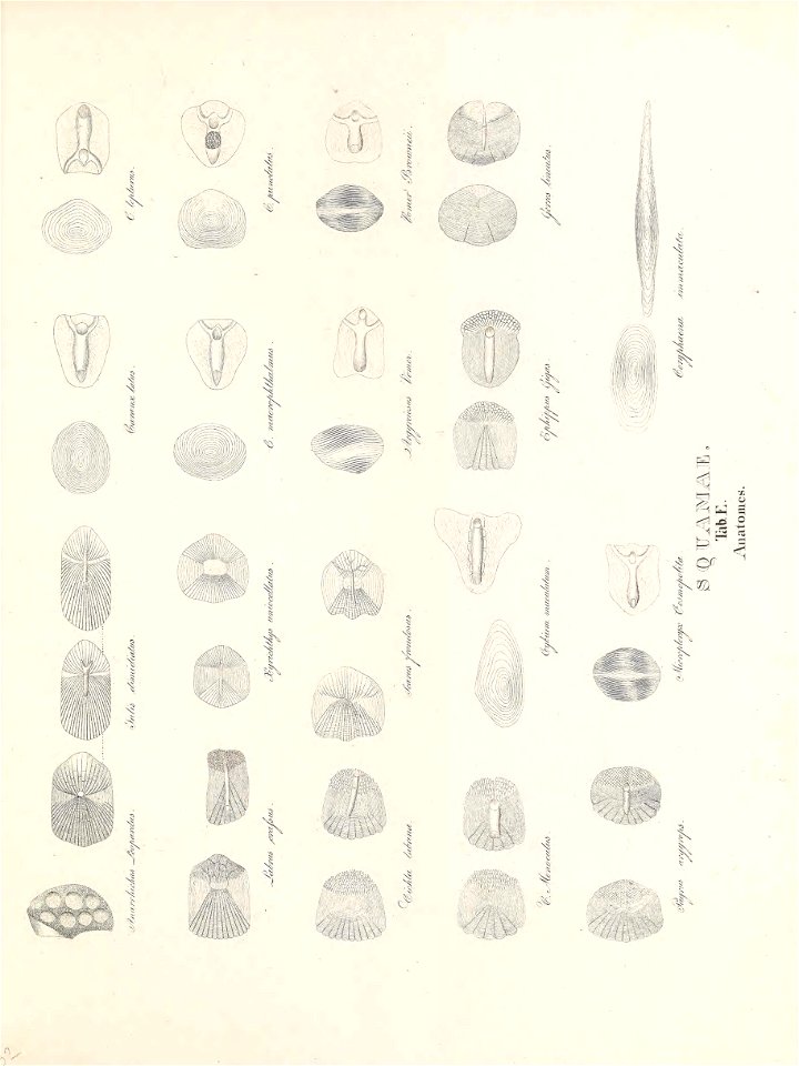 n68_w1150