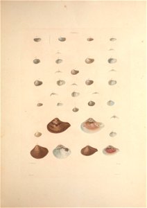 n114_w1150
