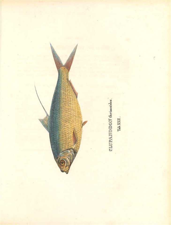 n178_w1150