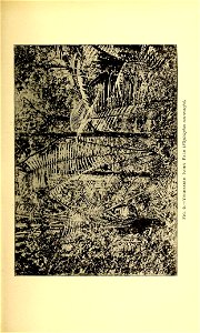n150_w1150