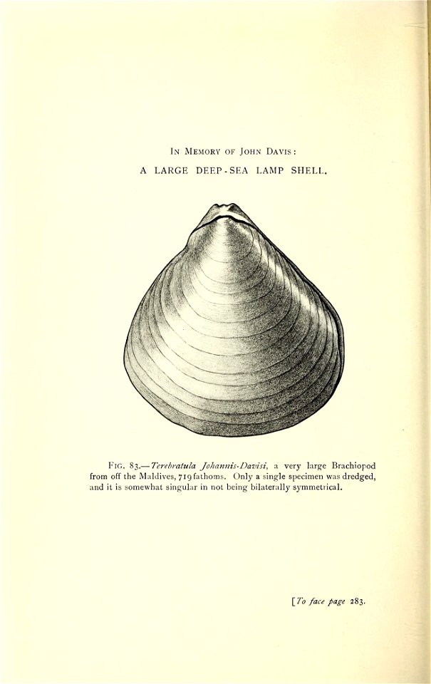 n415_w1150