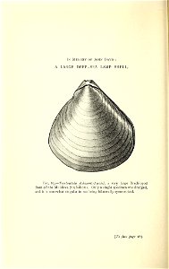 n415_w1150