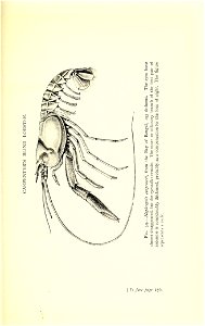 n356_w1150