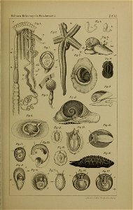 n1162_w1150