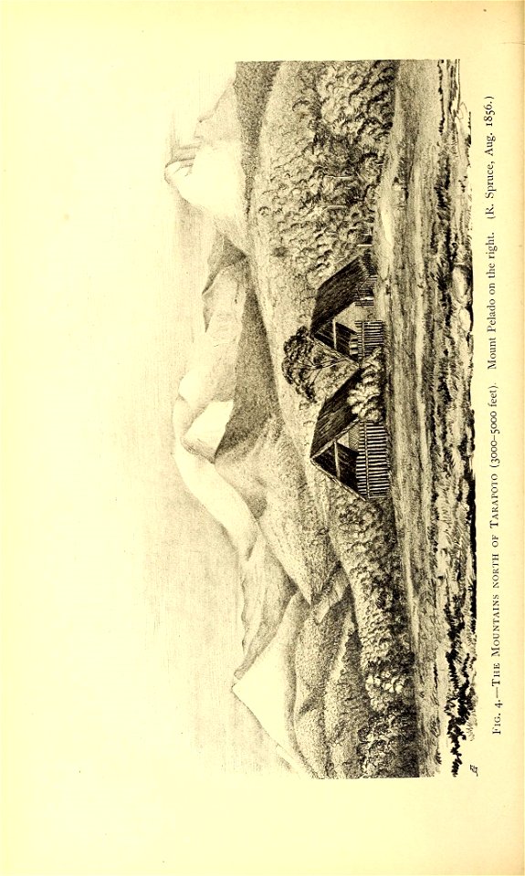 n109_w1150