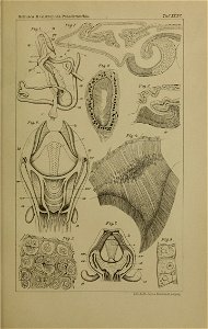 n1278_w1150