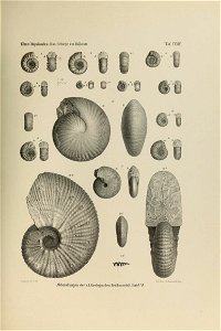 n226_w1150