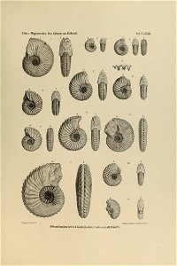 n402_w1150