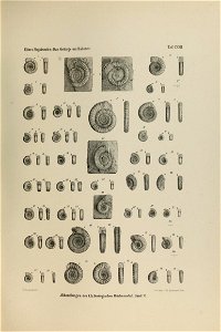 n218_w1150