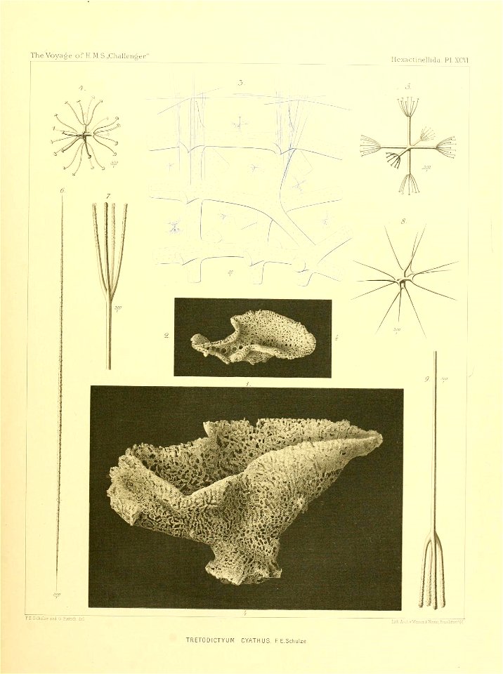 n394_w1150