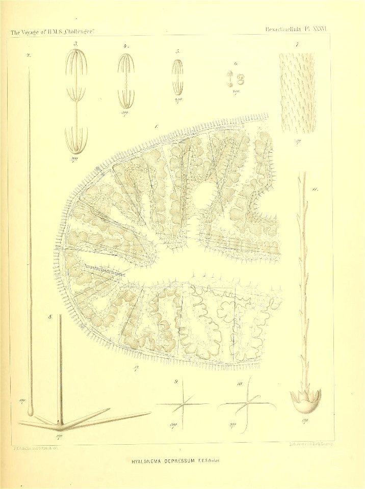 n154_w1150