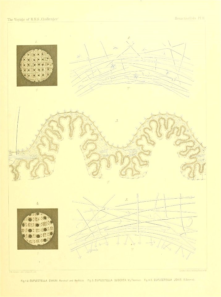 n34_w1150