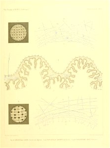 n34_w1150