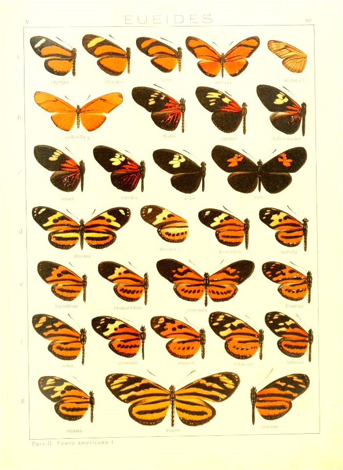n168_w1150