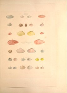 n118_w1150