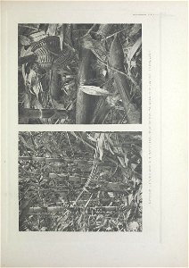n254_w1150