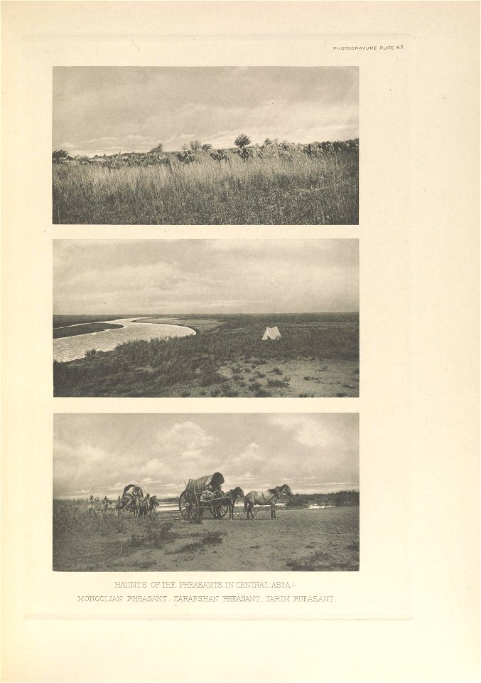 n198_w1150