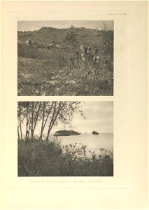 n462_w1150