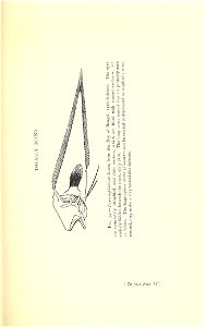 n318_w1150