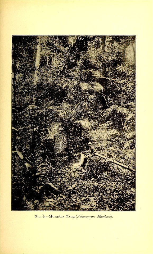 n212_w1150