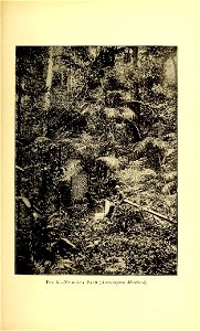 n212_w1150
