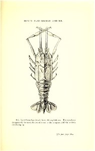 n374_w1150