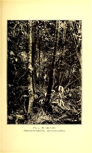 n208_w1150