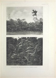 n406_w1150