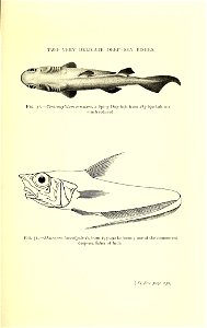 n308_w1150