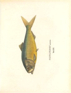 n174_w1150