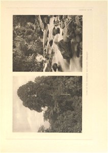 n378_w1150