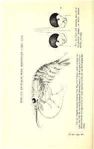 n367_w1150