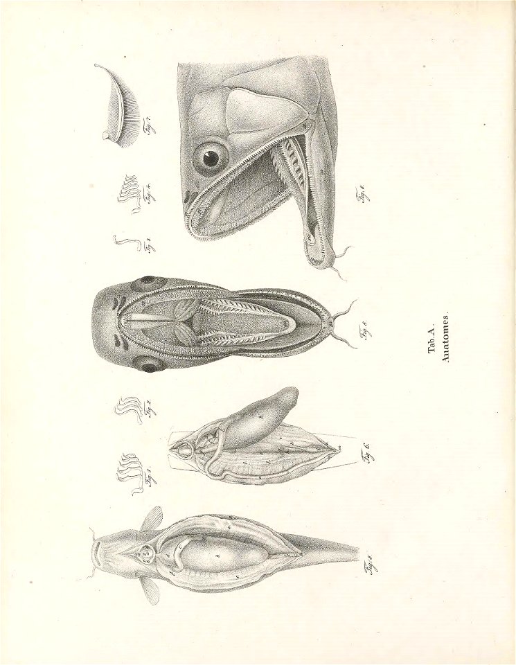 n57_w1150