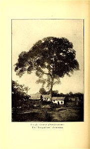 n541_w1150