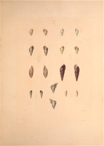 n162_w1150