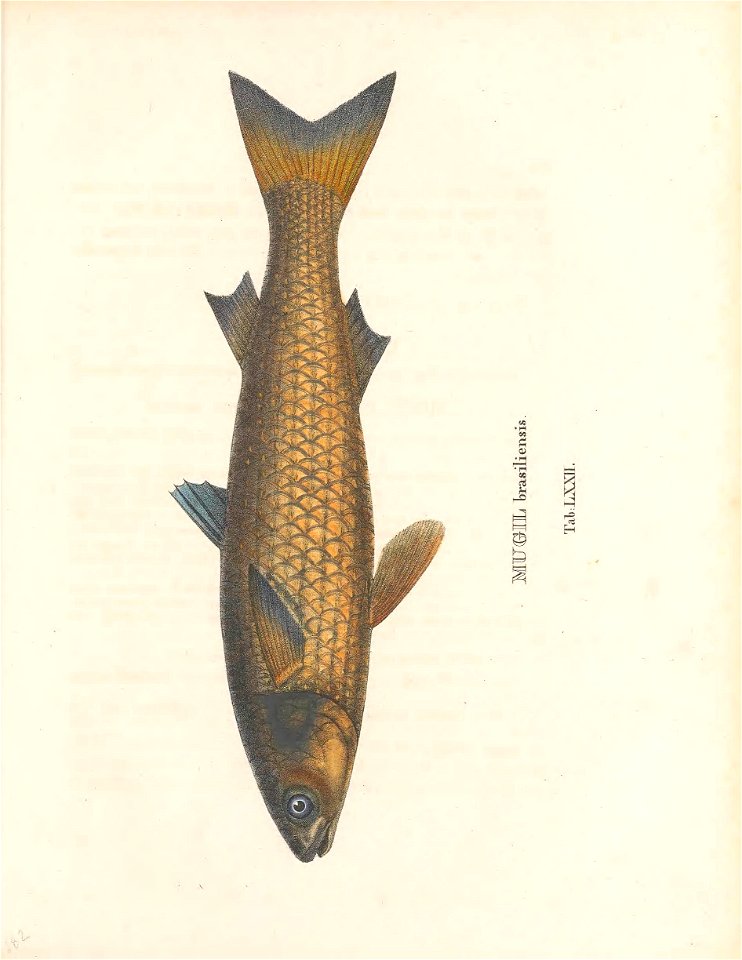 n368_w1150
