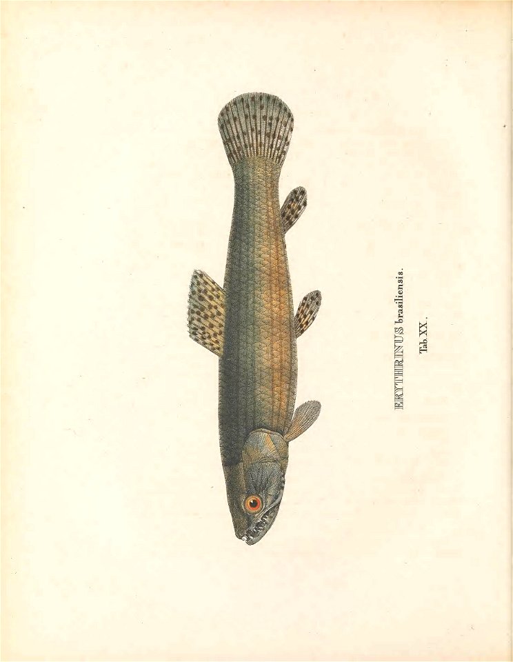 n159_w1150