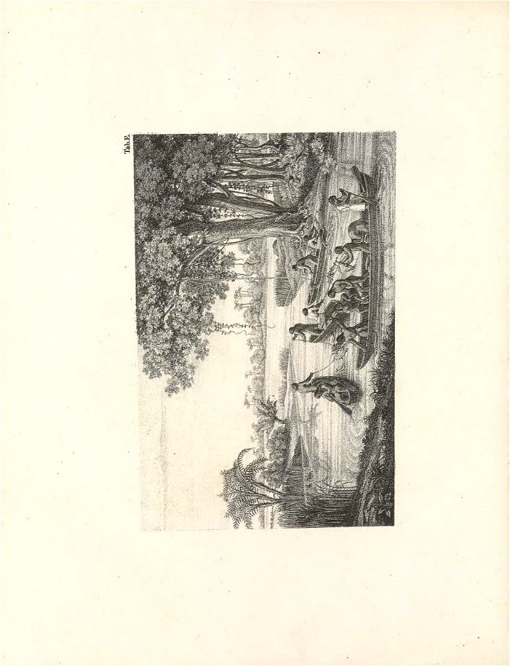 n43_w1150