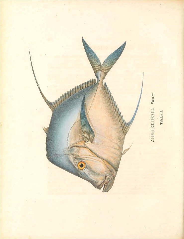 n311_w1150