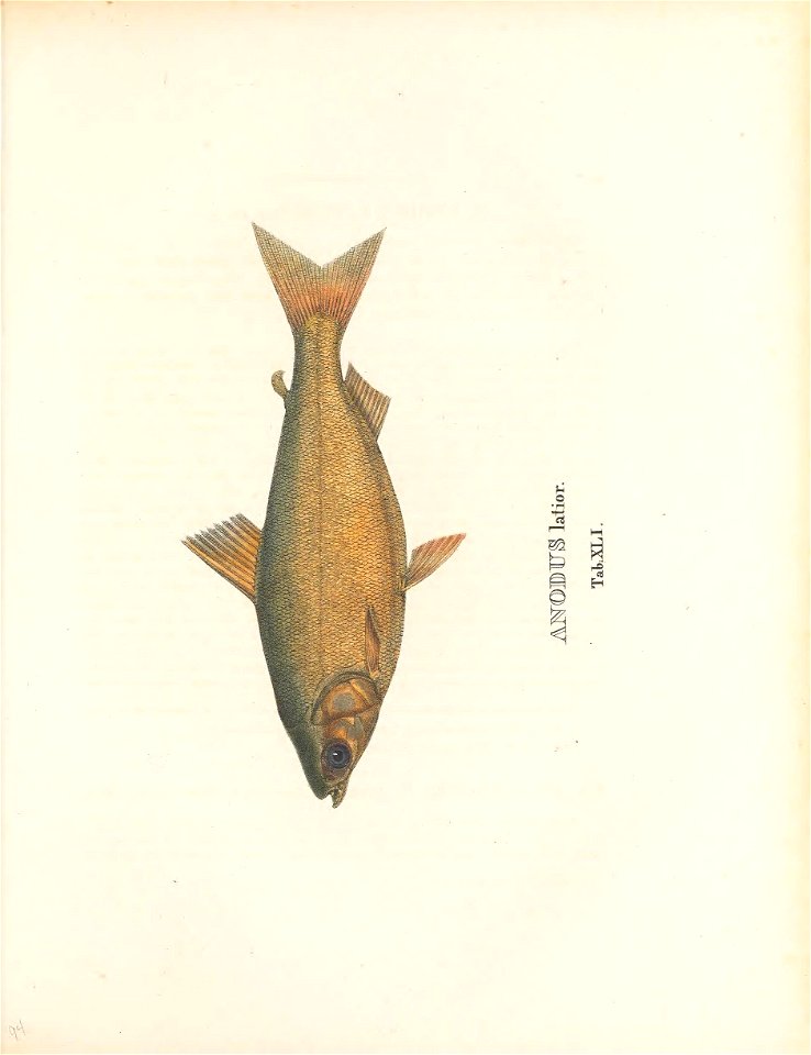 n192_w1150